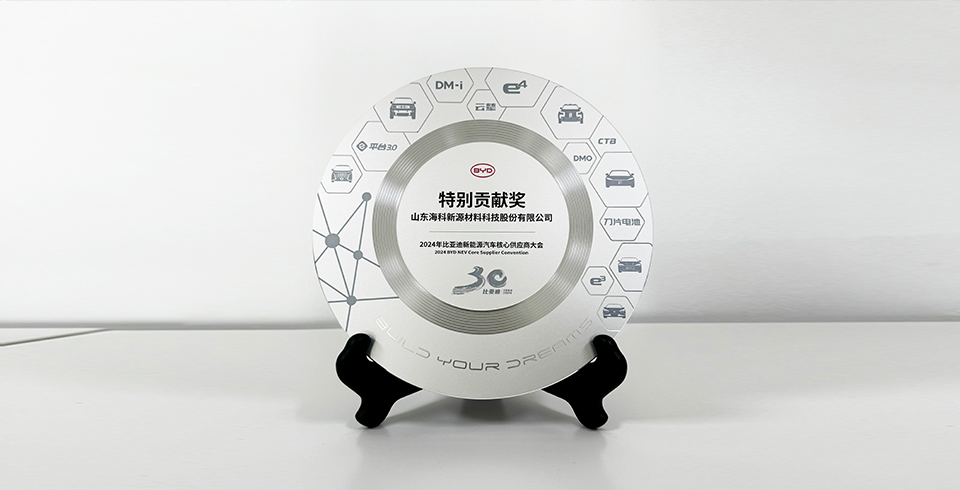 开云手机官方版登录入口_开云(中国)连续四年再度荣获比亚迪2024年“特别贡献奖”